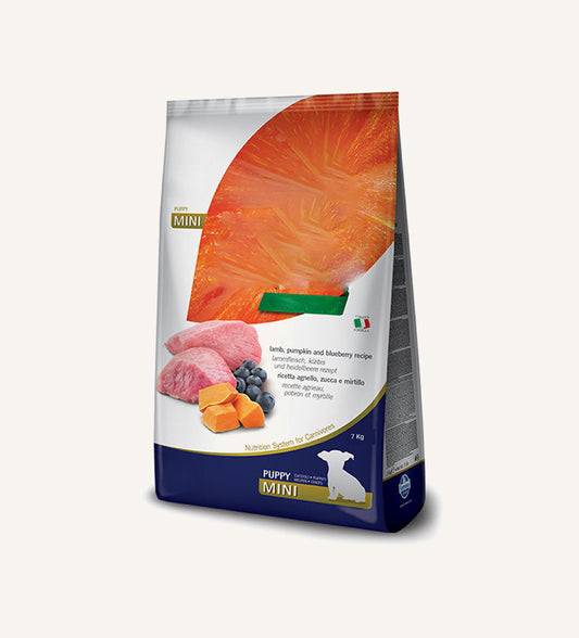 TailWag Treasures food