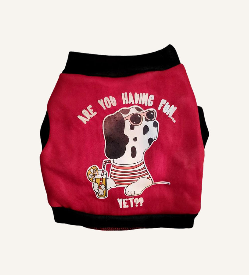 FidoFinds Factory pet clothes