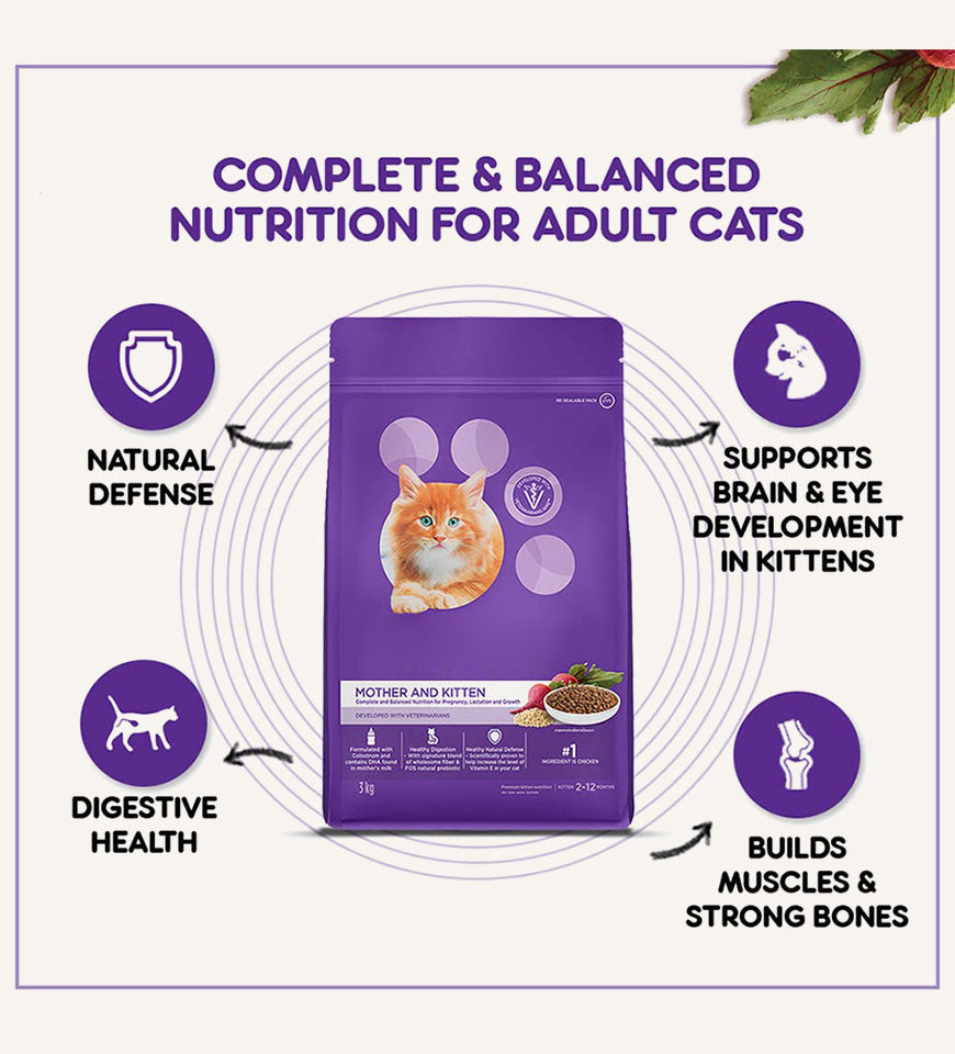 WhiskerWonder Works cat food